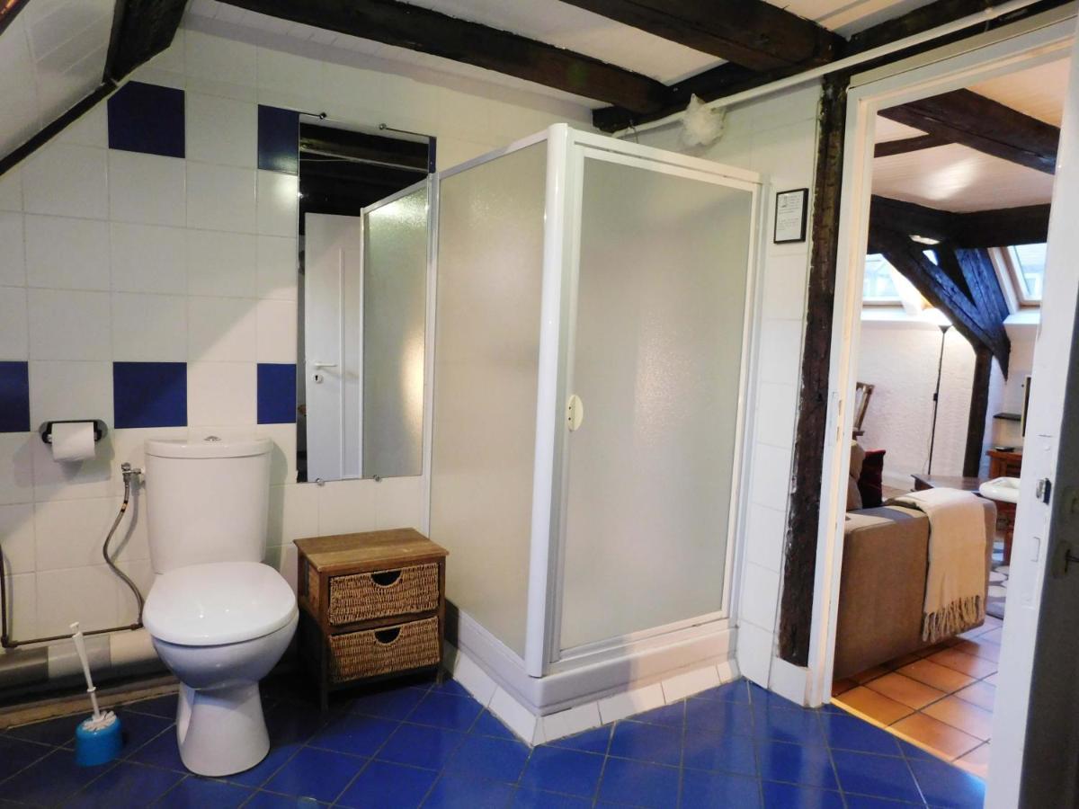 Appartement Typique Et Cosy A Deux Pas De La Cathedrale 스트라스부르 외부 사진